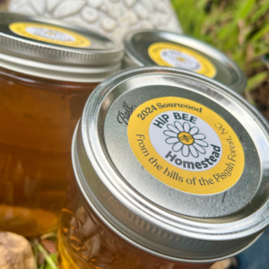 North Carolina Sourwood Honey - 24 oz (pint)